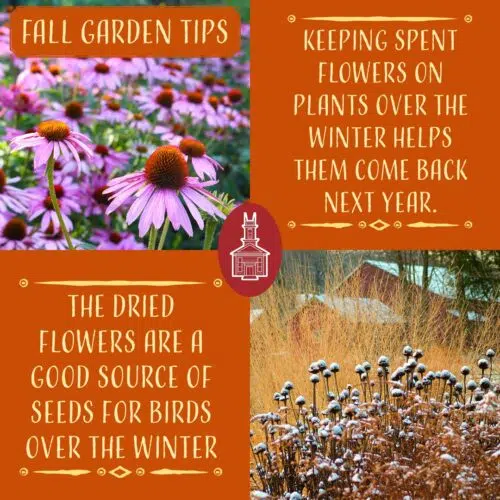 Link to Sustainable Fall Gardening