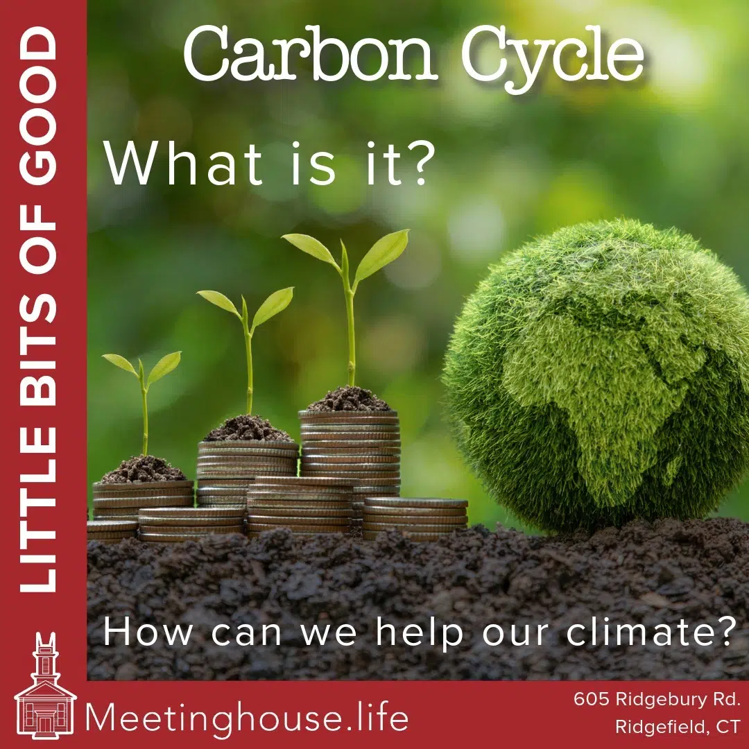 Link to You have the power to trap carbon and improve the atmosphere!