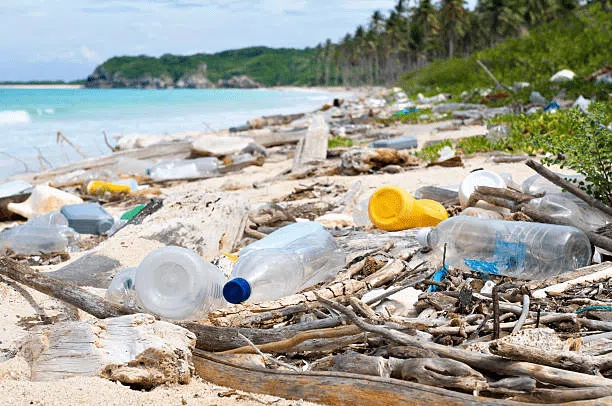 plastic pollution of water bottles and nets on a beach