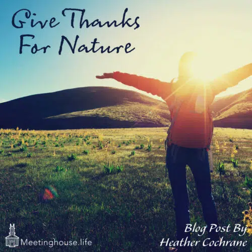 Link to Give Thanks For Nature