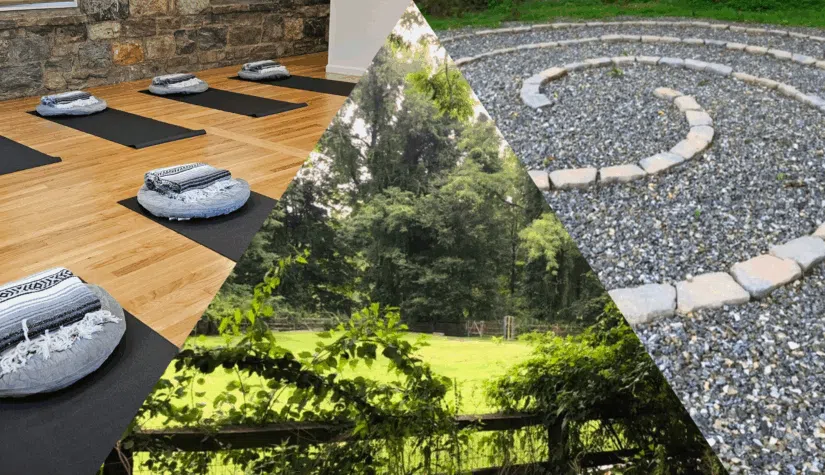 Link to Summer Solstice at The Meetinghouse