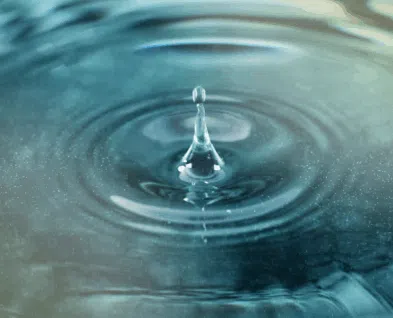 Link to Wisdom Circles: The Power of Now