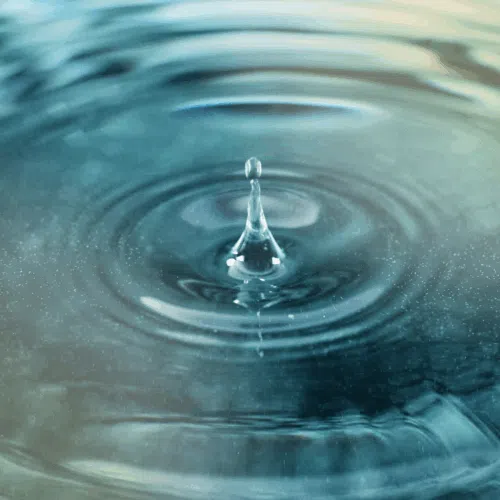 Link to Wisdom Circles: The Power of Now