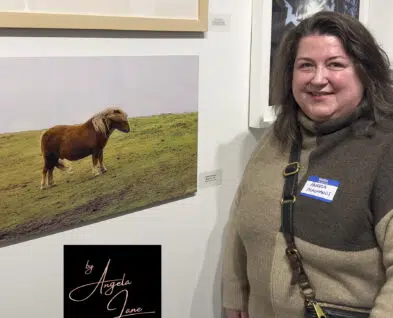 Link to Angela Jane: Landscapes and Friends