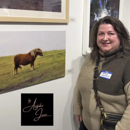 Link to Angela Jane: Landscapes and Friends