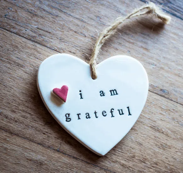 Link to Gratitude is the heart’s memory.