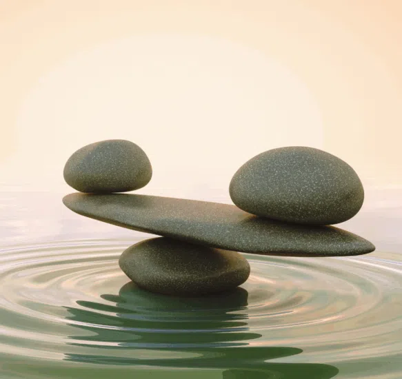 Link to Living the Active Life Contemplatively