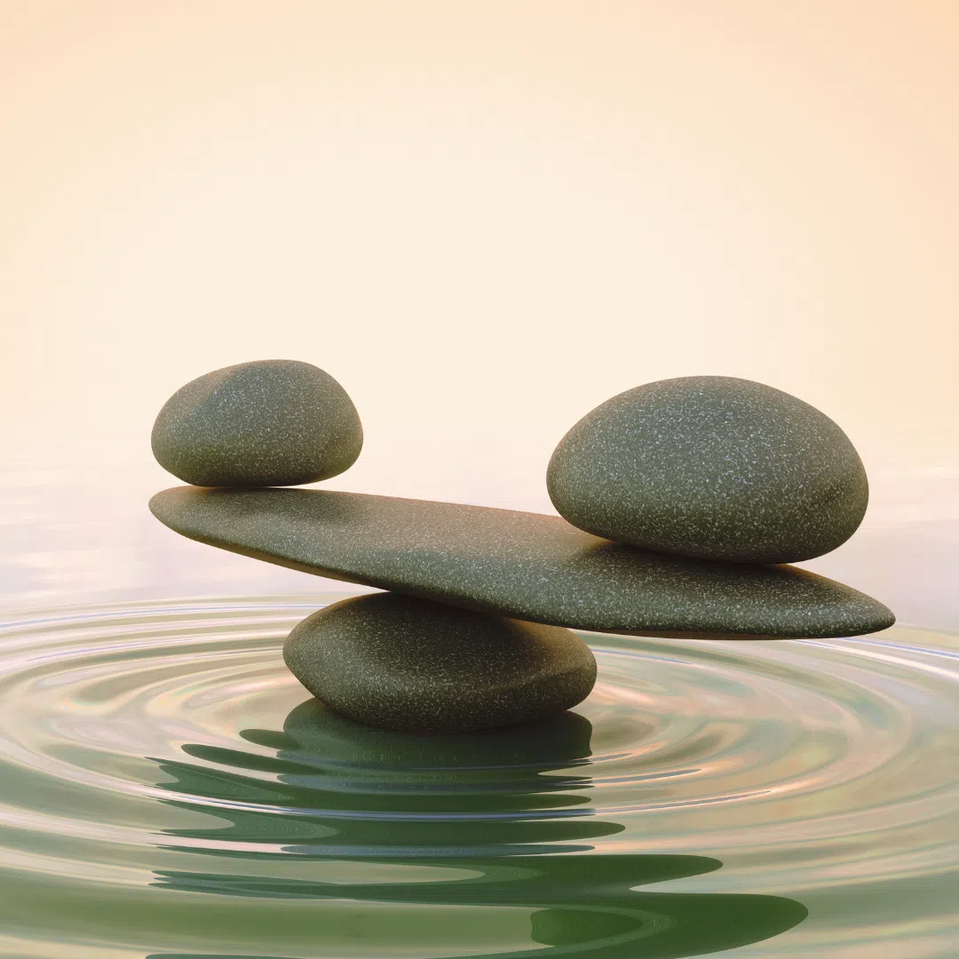 Link to Living the Active Life Contemplatively
