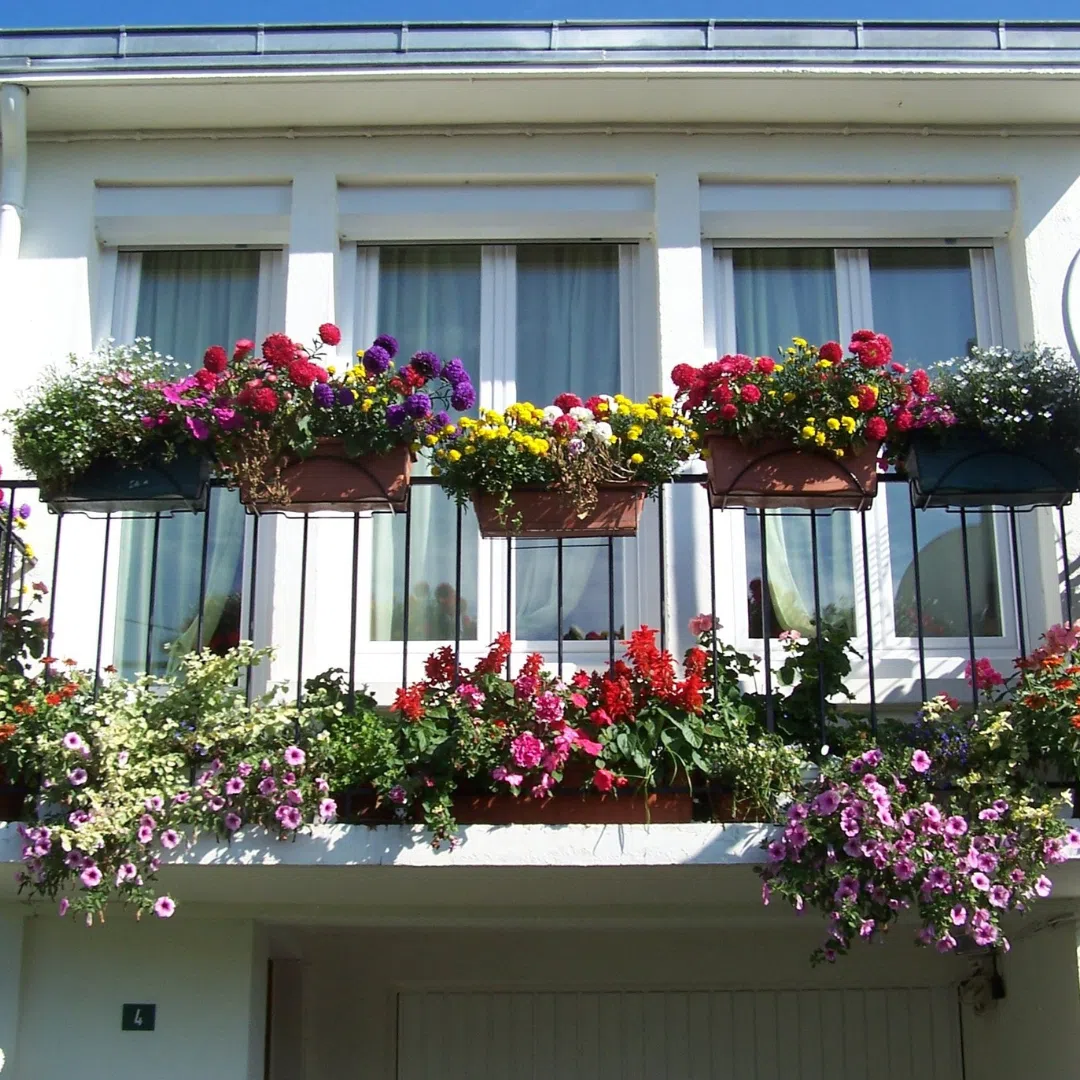 Link to Environmentalism Starts at Home