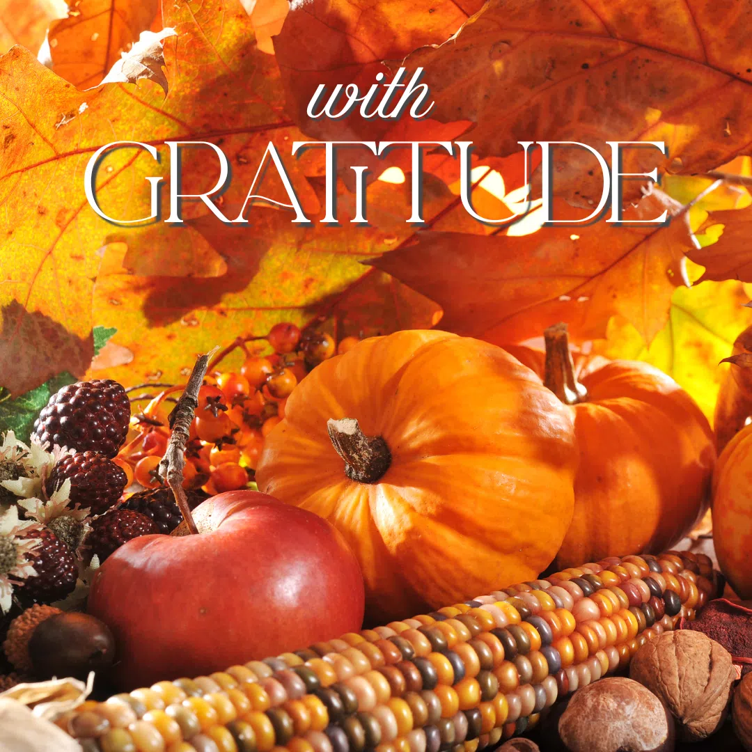 Link to With Gratitude for this Community