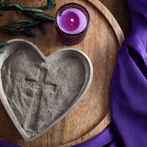 Link to Ashes on the Go | Afternoon Session