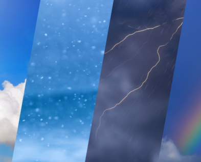 Link to Become a Citizen Scientist!