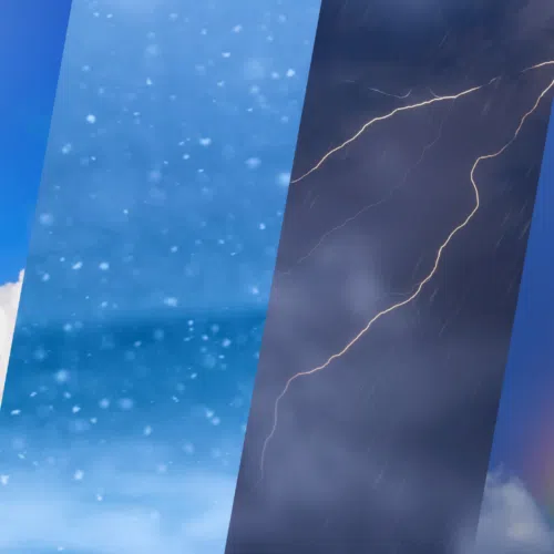 Link to Become a Citizen Scientist!