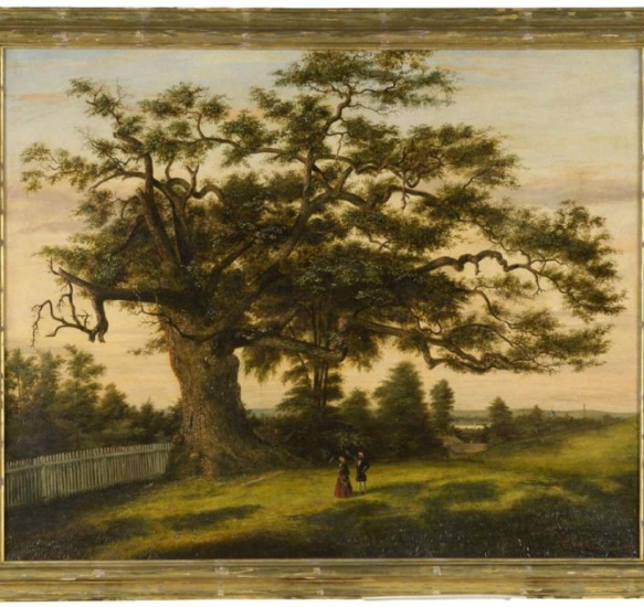 Link to The Tree That Protected Connecticut’s Freedom