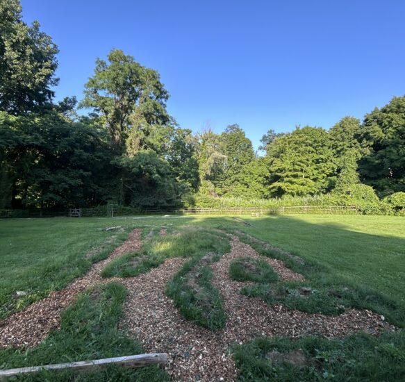 Link to July 2026 Update – Catalyst for Community Engagement