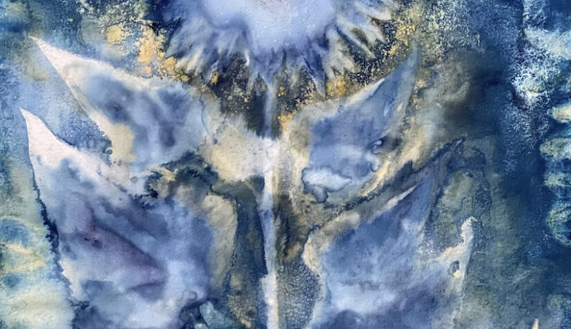 Link to Everything Under the Sun: Cyanotype and Lumen Prints by Fruma Markowitz | Opening Reception